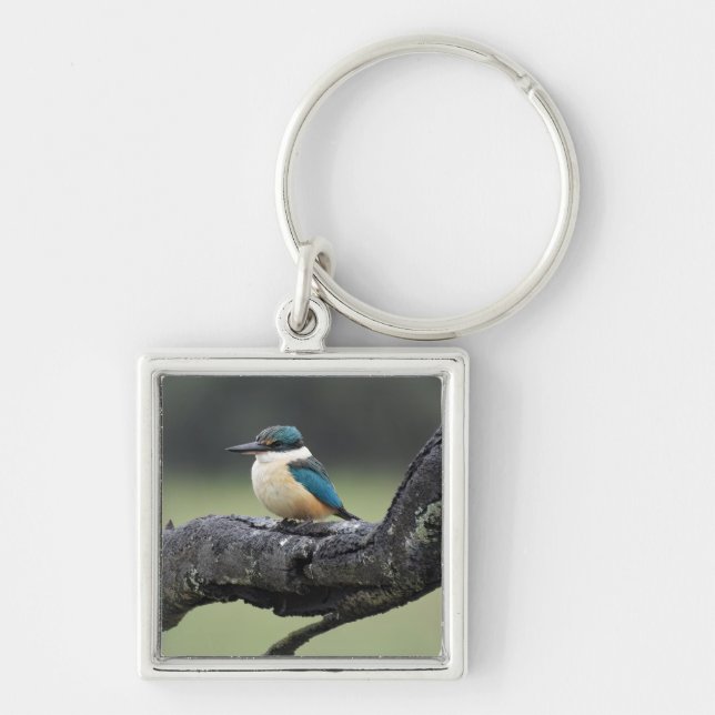 Small Kookaburra Bird Key Ring (Front)