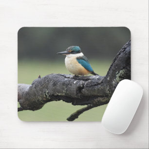 Small Kookaburra Bird Mouse Mat