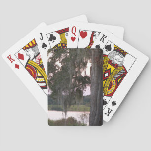 Small lake and moss covered trees playing cards
