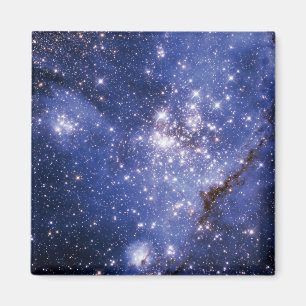 Small Magellanic Cloud Magnet