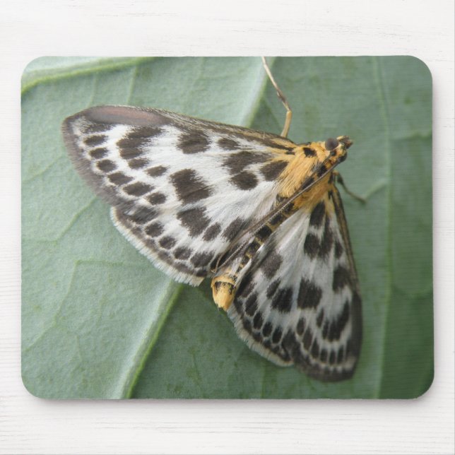 Small Magpie Moth Mousepad (Front)