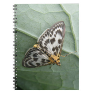 Small Magpie Moth Notebook