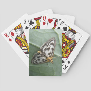 Small Magpie Moth Playing Cards