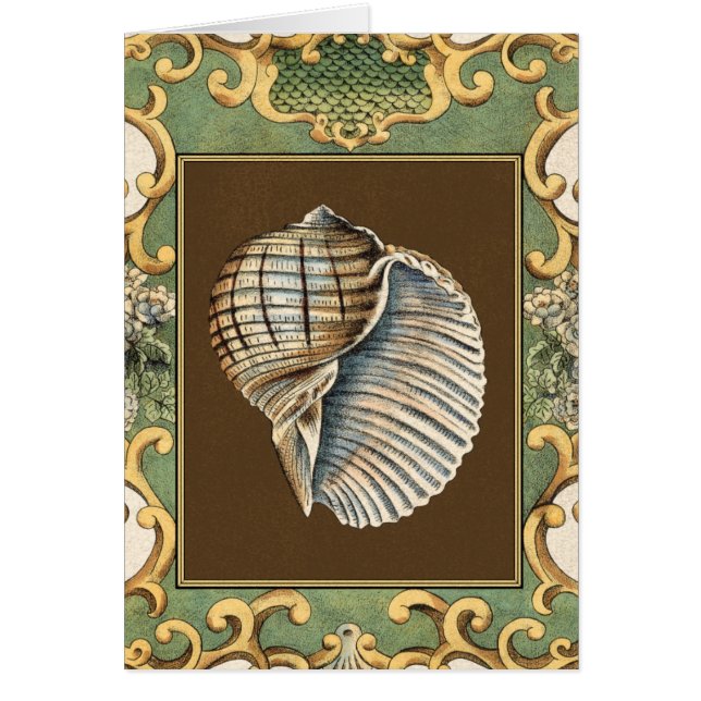 Small Mermaid's Shells (Front)