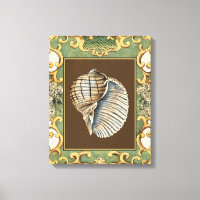 Small Mermaid's Shells