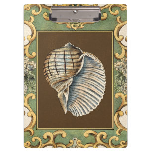 Small Mermaid's Shells Clipboard