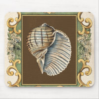 Small Mermaid's Shells
