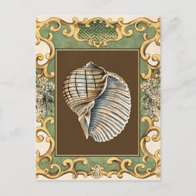 Small Mermaid's Shells Postcard (Front)