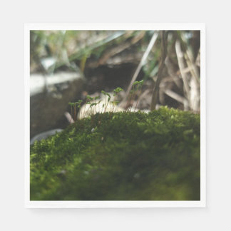 Small Moss World – Nature Photography Napkin