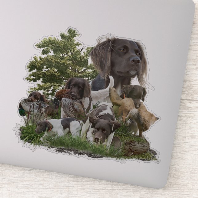 Small Munsterlander    (Detail)