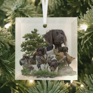 Small Munsterlander   Glass Tree Decoration