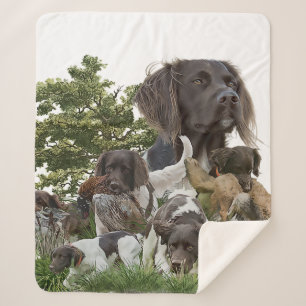 Small Munsterlander  Sherpa Blanket