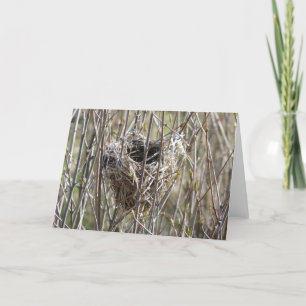 Small Nest Card