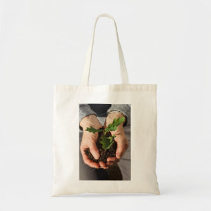 Small oak in the hands of a woman tote bag