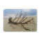 Small or Medium Beach Driftwood Bathmat