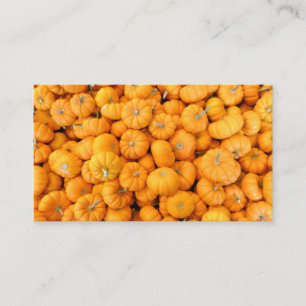 Small Orange Fall Harvest Pumpkins Business Card
