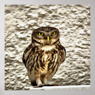 Small Owl In Camouflage Poster