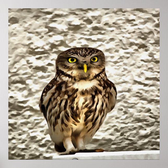 Small Owl In Camouflage Poster (Front)