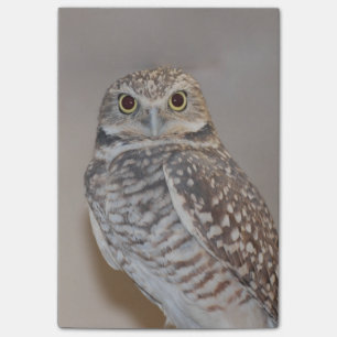 Small Owl Post-it Notes