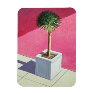 Small palm 1995 magnet