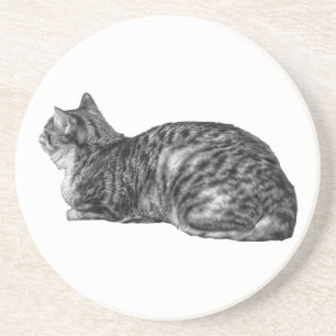 Small Pause, Tabby Poise Coaster