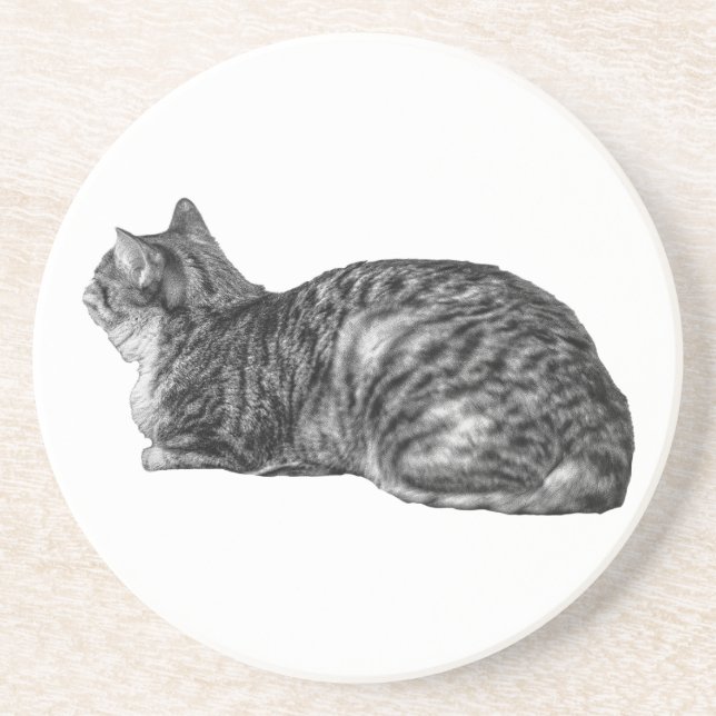 Small Pause, Tabby Poise Coaster (Front)