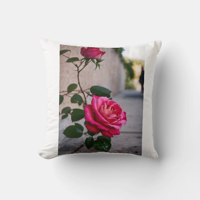 Small Pillow (Front)