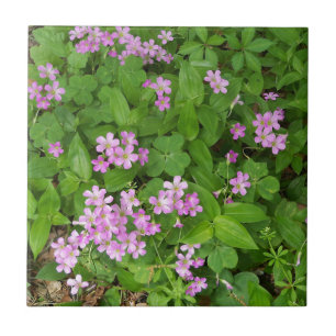 Small pink delicate wildflowers tile