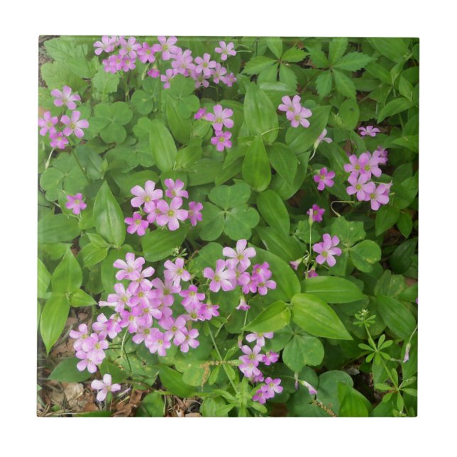 Small pink delicate wildflowers tile (Front)