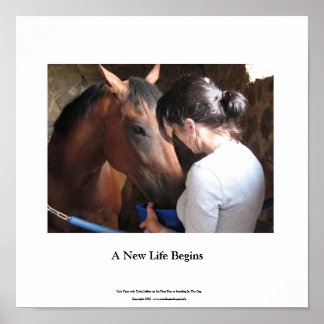 Small Poster  Solo Tour and Darla Jeffery