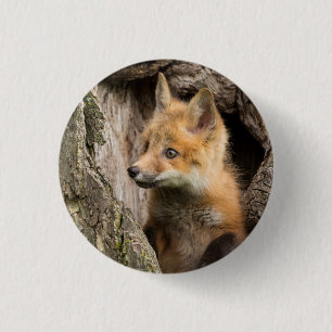 Small Red Fox in a Tree Hollow 3 Cm Round Badge