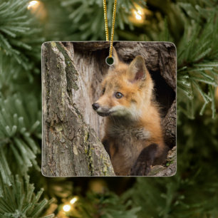 Small Red Fox in a Tree Hollow Ceramic Ornament
