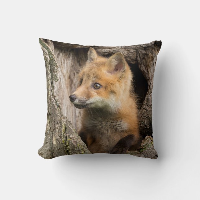 Small Red Fox in a Tree  Hollow Cushion (Front)