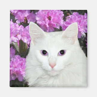 small romeo azaleas magnet