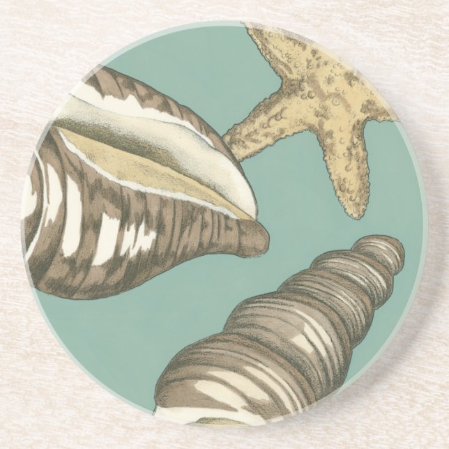 Small Shell Trio on Teal Coaster (Front)