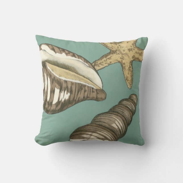Small Shell Trio on Teal Cushion (Front)