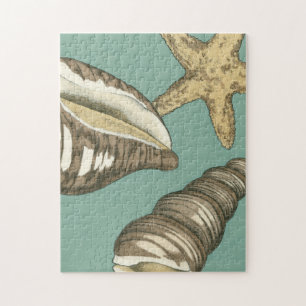 Small Shell Trio on Teal Jigsaw Puzzle