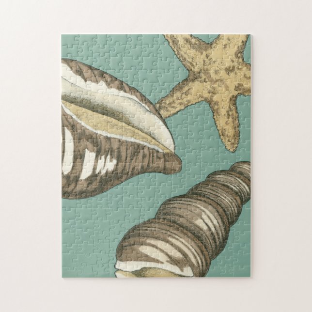 Small Shell Trio on Teal Jigsaw Puzzle (Vertical)