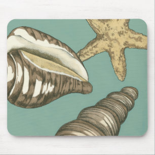 Small Shell Trio on Teal Mouse Mat