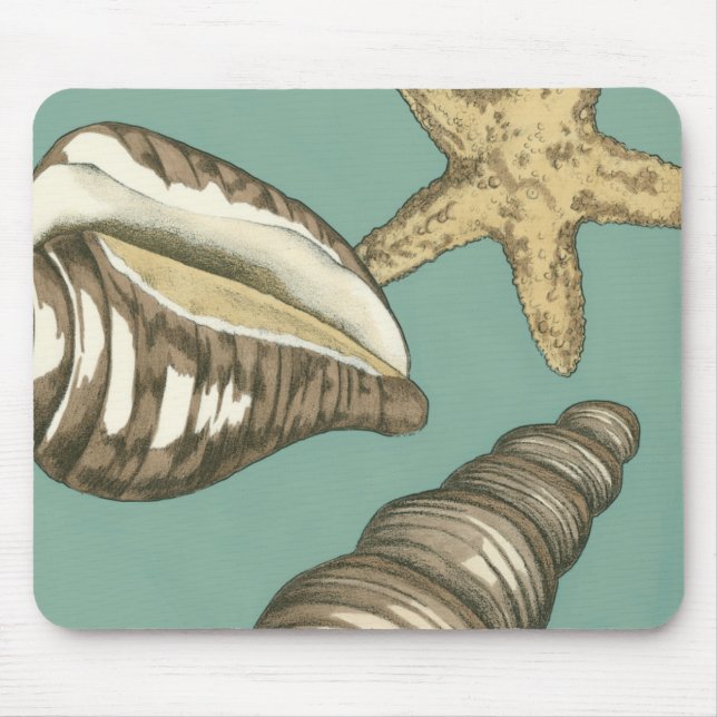 Small Shell Trio on Teal Mouse Mat (Front)