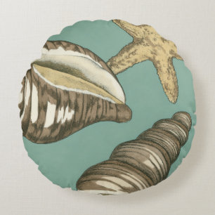 Small Shell Trio on Teal Round Cushion