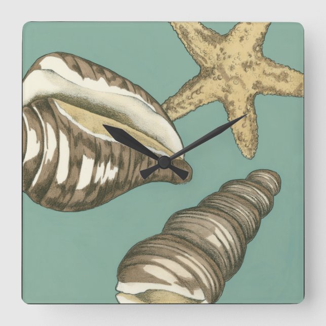 Small Shell Trio on Teal Square Wall Clock (Front)