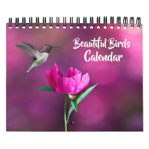 Small Size Beautiful Birds Calendar