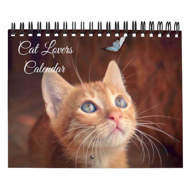 Small Size Cat Lovers Calendar (Cover)