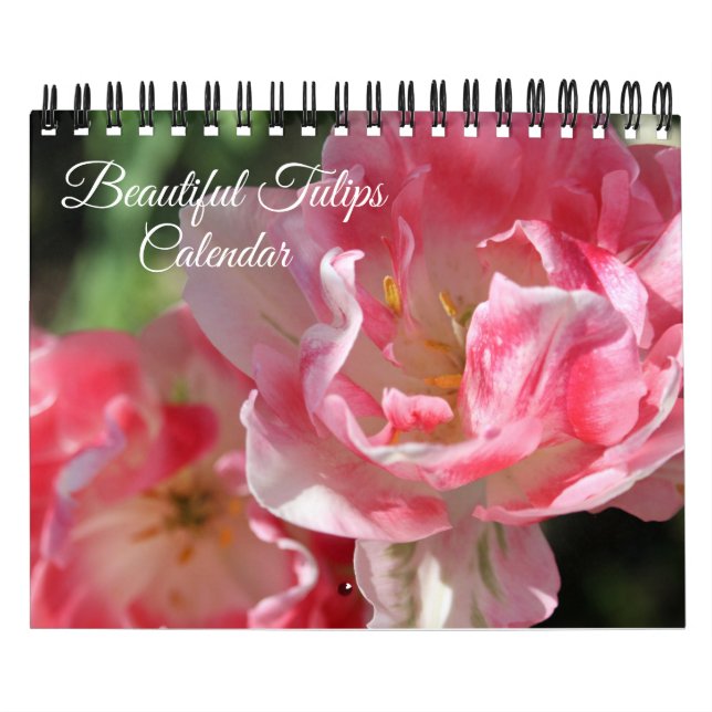 Small Size Tulips Calendar (Cover)