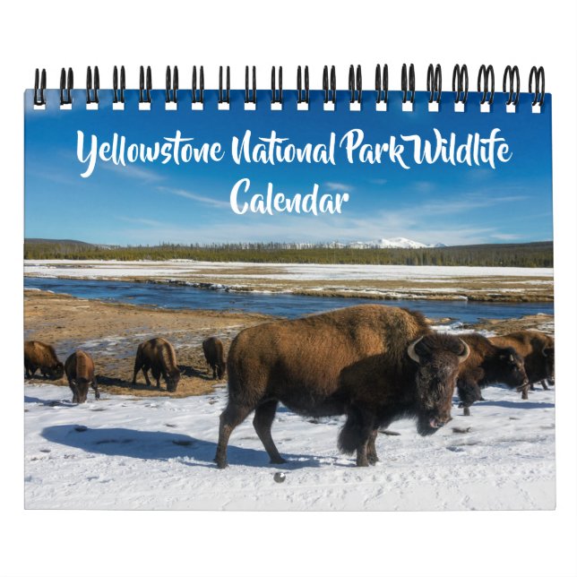 Small Size Yellowstone Calendar-Wildlife Calendar (Cover)