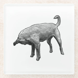 Small Sniff, Big Smile Glass Coaster
