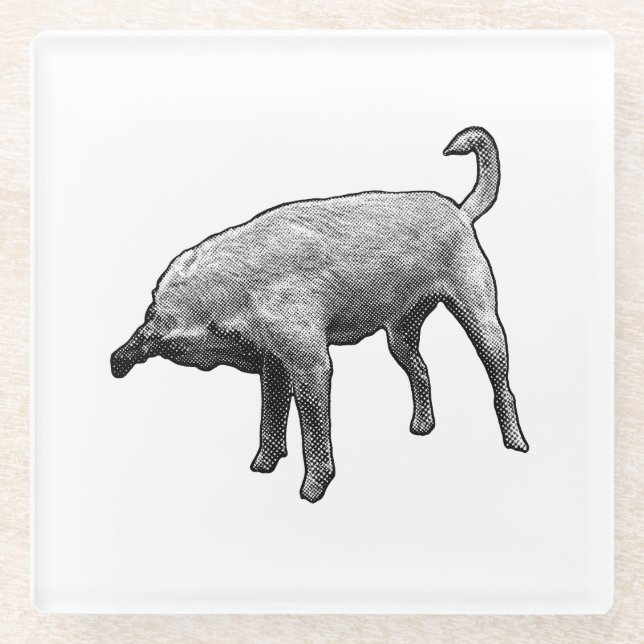 Small Sniff, Big Smile Glass Coaster (Front)