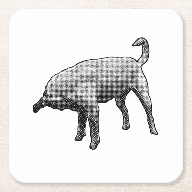 Small Sniff, Big Smile Square Paper Coaster (Front)
