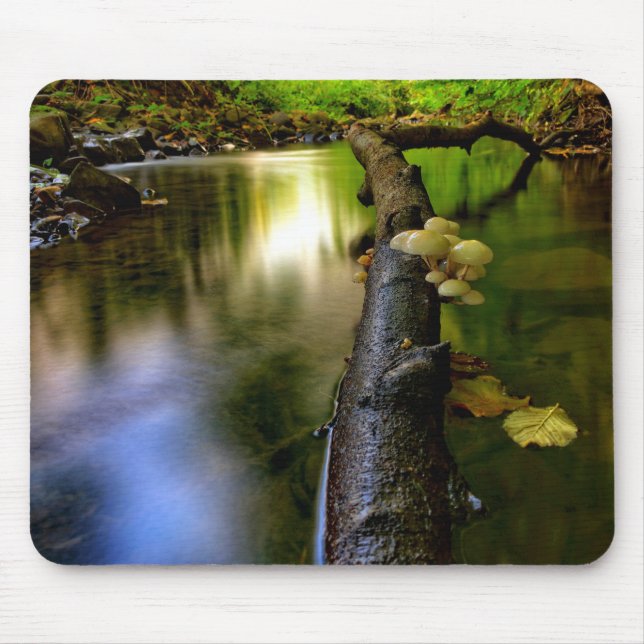 Small stream mushrooms in Bowden Burn Mouse Mat (Front)